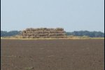 Figure 2. Straw has few alternative uses in Ukraine and burning in the field is still common.