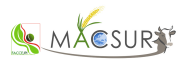 MACSUR_logo_transparent.png