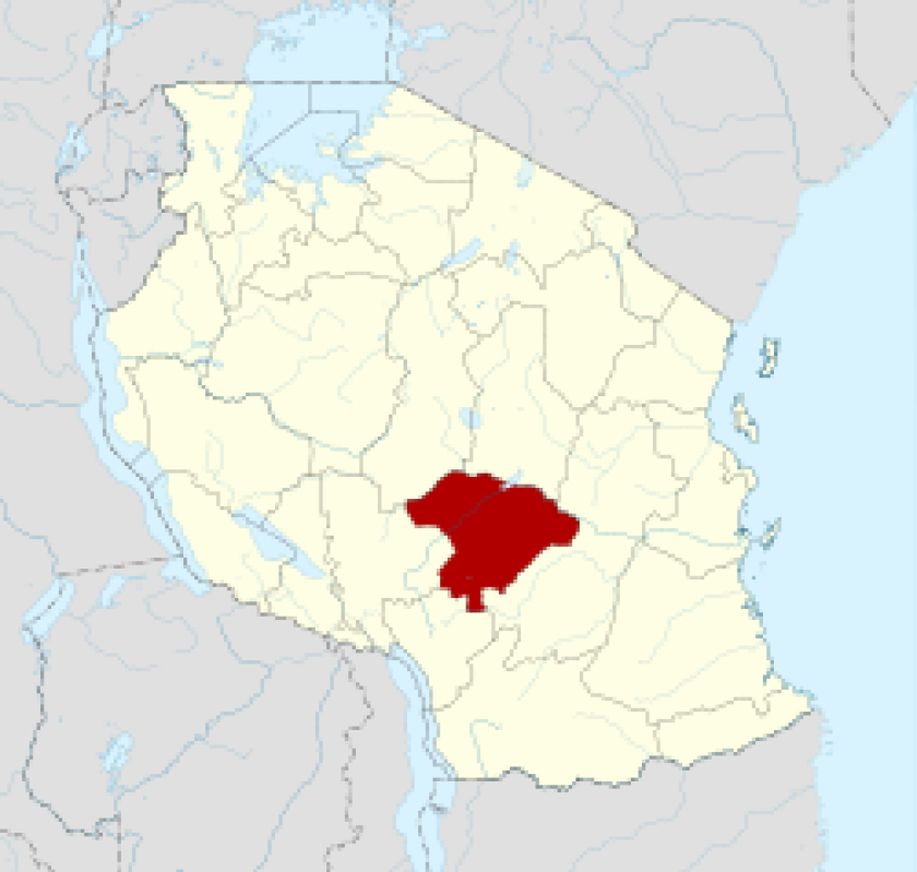 Tanzania political map. Iringa region is shown in red.