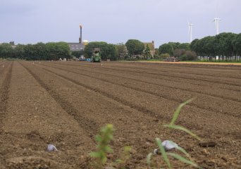 terrestic proficiency test of soil