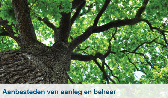 uitsnedesproducten_Aanbesteden van aanleg en beheer.png