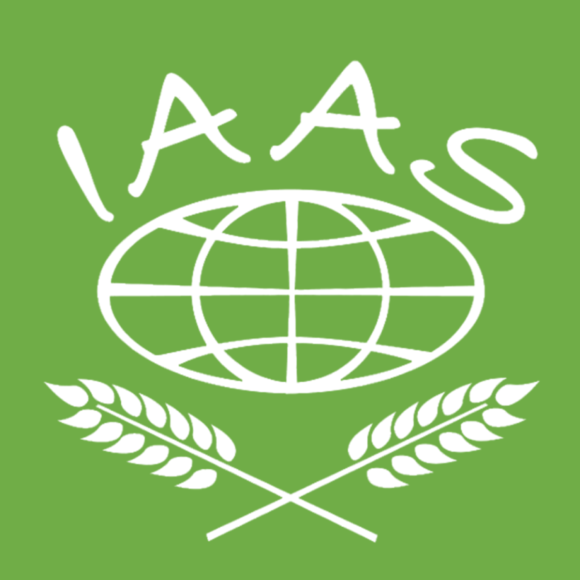 IAAS.png